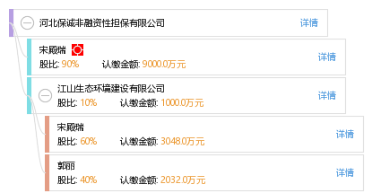 河北保誠非融資性擔保 專注非融資性擔保服務，助力區域經濟穩健發展